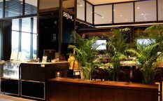 GRACERY LOUNGE