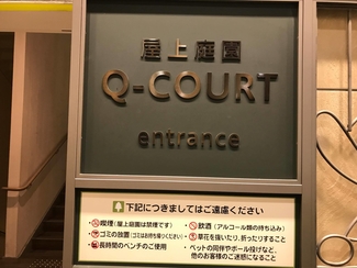 q-court