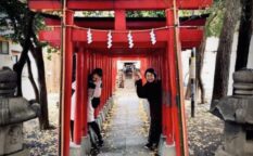 shinjuku shrine
