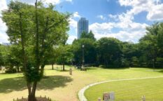 Shinjuku Chuo Park