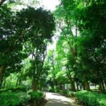 Shinjuku Toyama Park