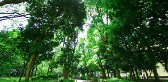 Shinjuku Toyama Park