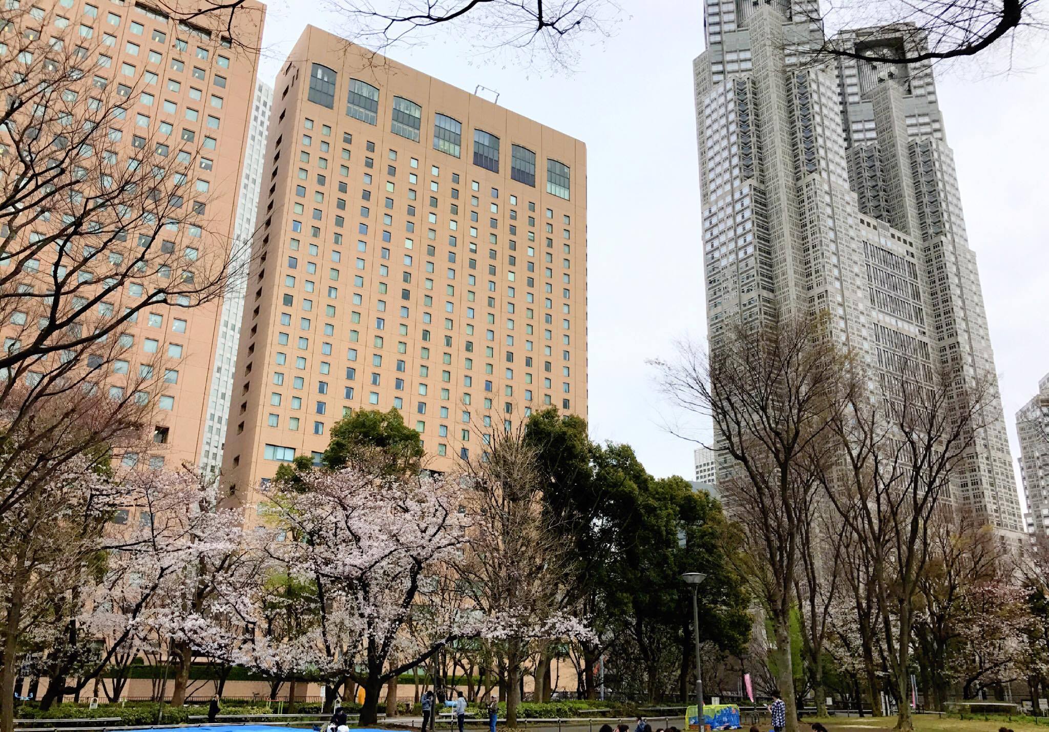 新宿中央公園2