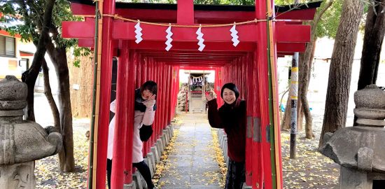 花園神社鳥居