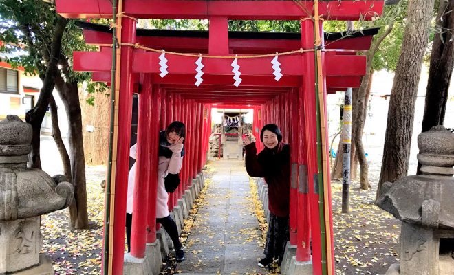 花園神社鳥居