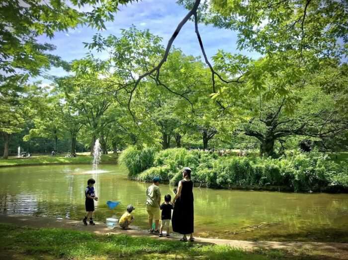 代々木公園噴水