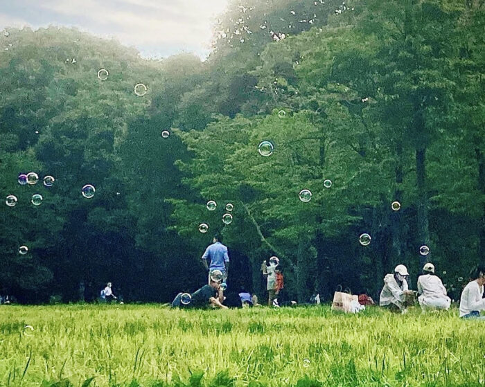 歴史のある代々木公園
