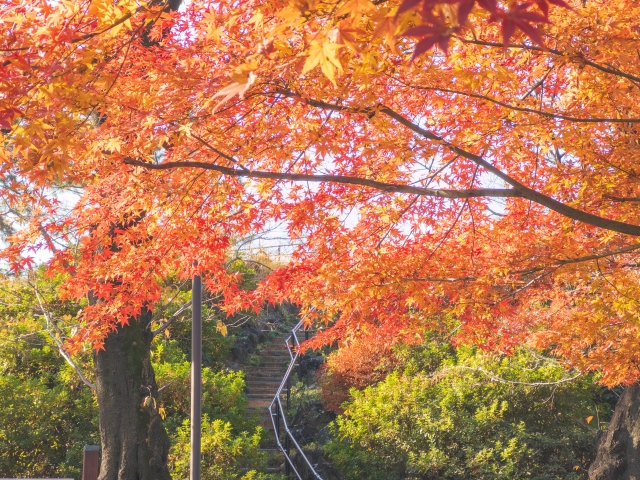 戸山公園