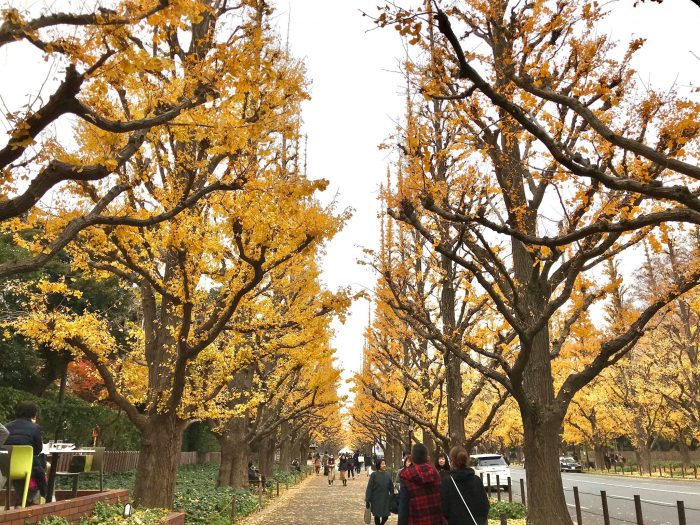 Meiji Jingu Gaien