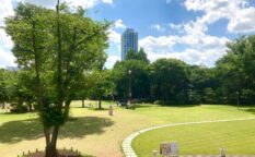 新宿中央公園