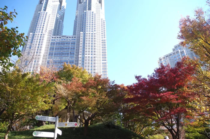 Shinjuku Chuo Park