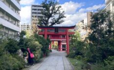 成子天神社鳥居