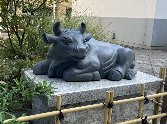 成子天神社撫で牛