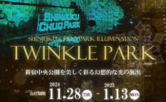 TWINKLE PARK