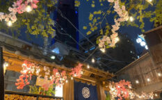 ほぼ新宿のれん街