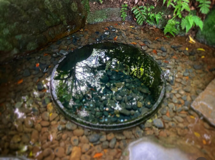 Meiji Jingu Gyoen Kiyomasa Well