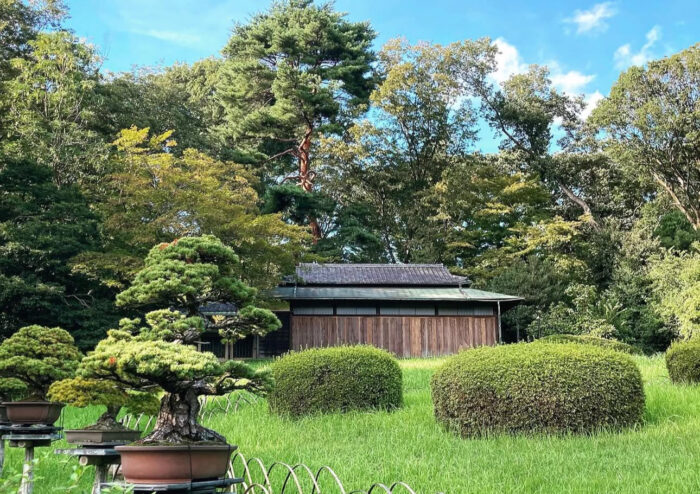 明治神宮