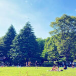 代々木公園