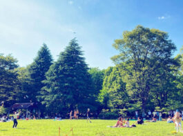 代々木公園