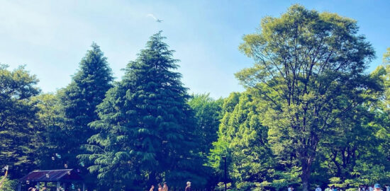 代々木公園