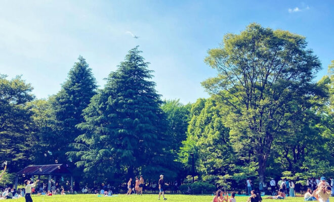 代々木公園