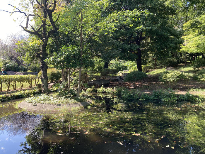 戸山公園箱根地区池