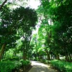 戸山公園入口