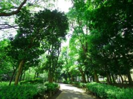 戸山公園入口