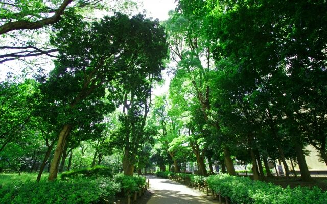 戸山公園入口